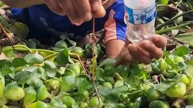 疯狂的钓鱼人#钓鱼 #钓鱼人就是这么疯狂 #钓鱼的乐趣只有钓鱼人懂 #内容启发搜索