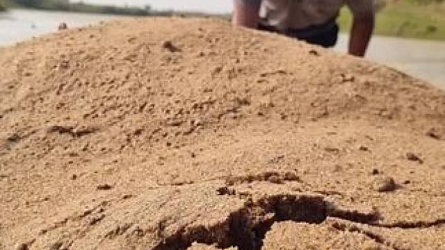 抓鱼#抓鱼 #徒手抓鱼 #内容启发搜索