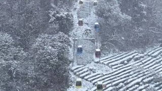 惊喜！正月十五元宵节居然下雪了~瑞雪兆丰年 