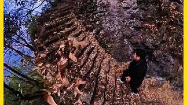 山里无意发现的天路，尽头竟是无法进入的悬崖洞#户外阿志 #户外自然探险发现 #内容启发搜索