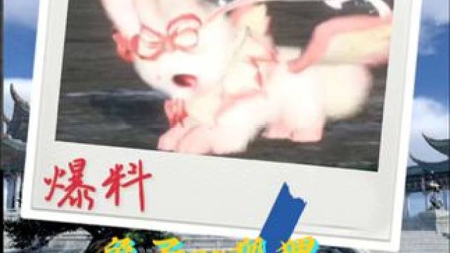 全新宠物曝光这是兔子还是狐狸  #逆水寒手游 #逆水寒手游攻略 #逆水寒全民制作人 #逆水寒人均摄影