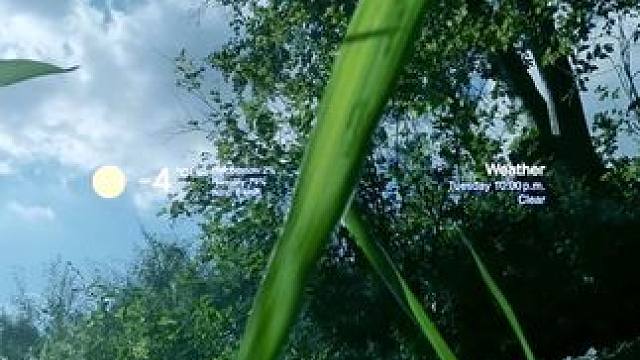 好像是梦，一个关于夏天的梦.