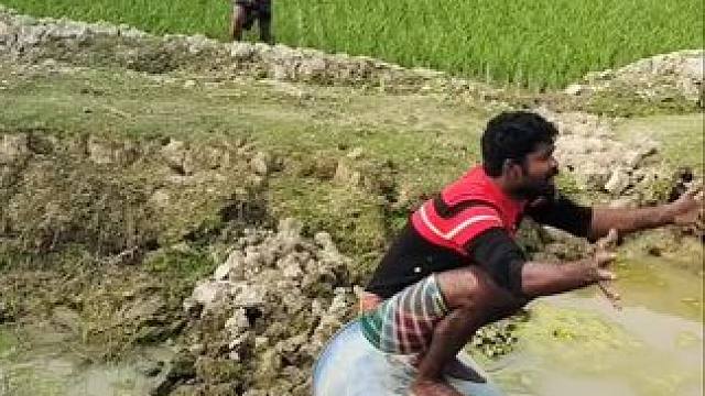 哈哈 #田园生活乐趣多 #田间地头就是我的舞台 #田园生活