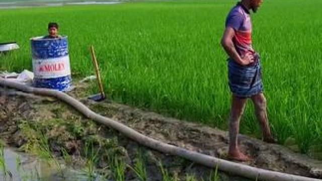 田园生活欢乐多 #田间地头就是我的舞台 #田间地头走一走 #田园生活乐趣多 #一份耕耘一份收获 #农