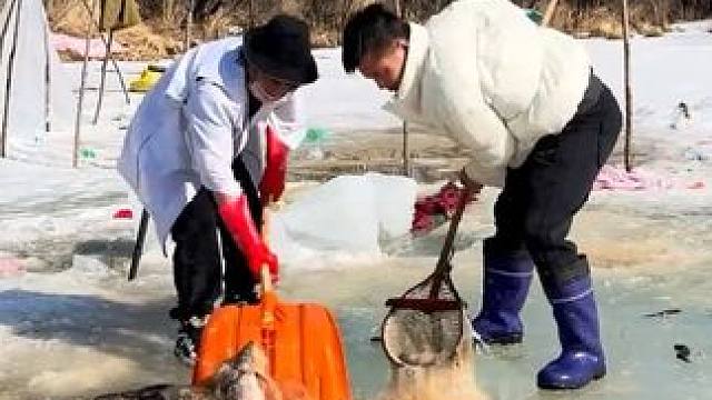 #户外捕鱼 #好多鱼