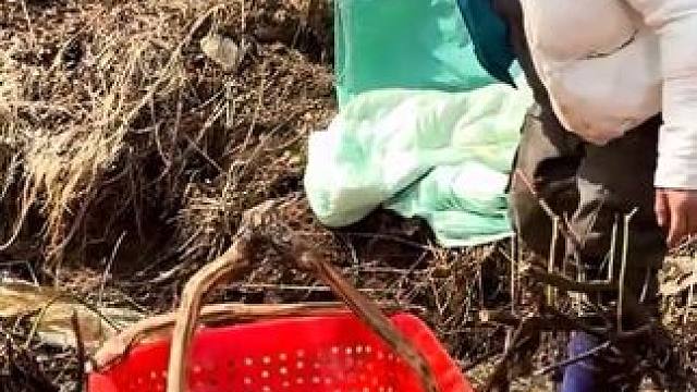 #户外捕鱼 #好多鱼