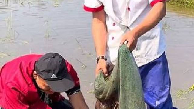 #户外捕鱼 #好多鱼