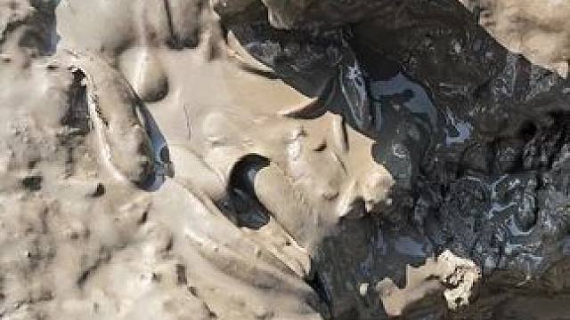 抓鱼#抓鱼 #逮鱼摸虾 #农村生活 #内容启发搜索