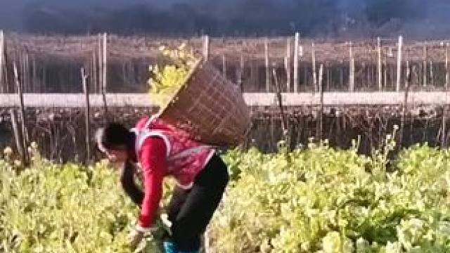 我发布了一个新视频，快来围观吧！