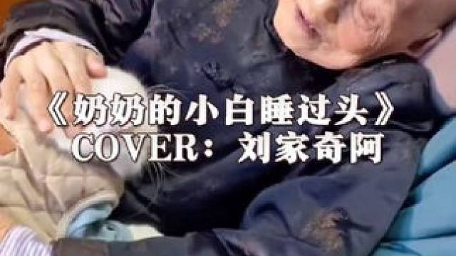 猫猫和狗狗的最后道别，它们甚至连离开都不想让你难过！#猫咪和狗狗 #万物皆有灵性