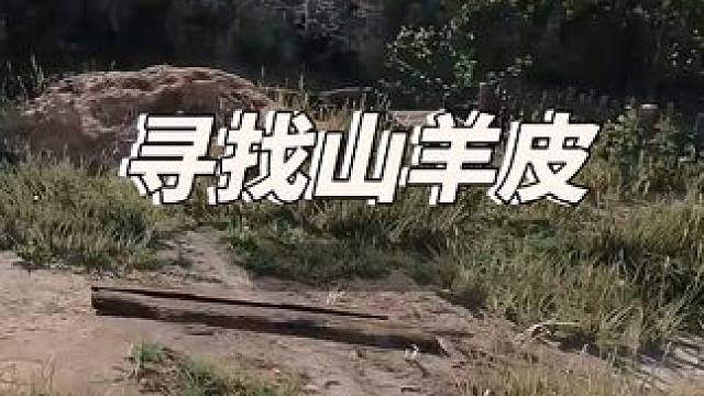 天国拯救2 寻找山羊皮以及废弃庭院 #天国拯救2 #steam游戏 #单机游戏 #天国拯救