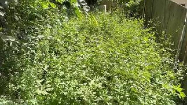 我发布了一个新视频，快来围观吧！