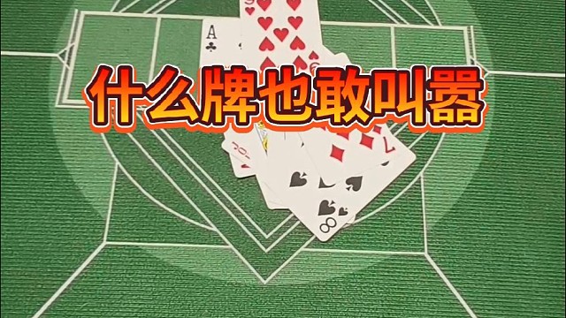 什么牌也敢叫器