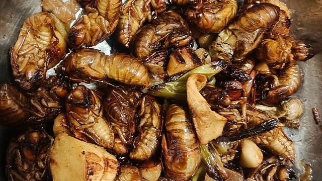 这个季节稀奇的美食