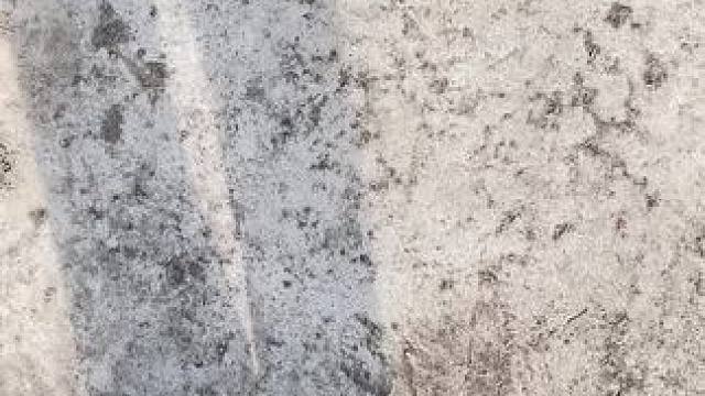 “过年像是做了一场热闹的梦”#过年真是匆匆 #我家的小土狗  #回村的生活 #乡愁记忆  #农村生活