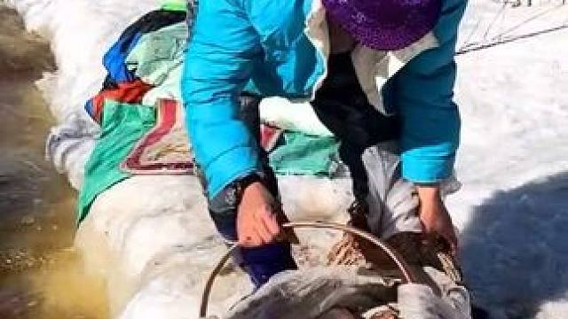 #户外捕鱼 #好多鱼