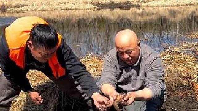 #户外捕鱼 #好多鱼