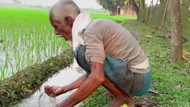 哈哈 #田间地头就是我的舞台 #辛勤劳动者记录农村生活 #田园生活乐趣多 #这就是农村的生活 #田间