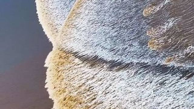 航拍到“海豚潮”太壮观了，钱塘江活了！#海豚潮