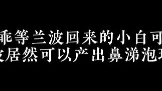 两个小可爱哈哈哈 #广播剧