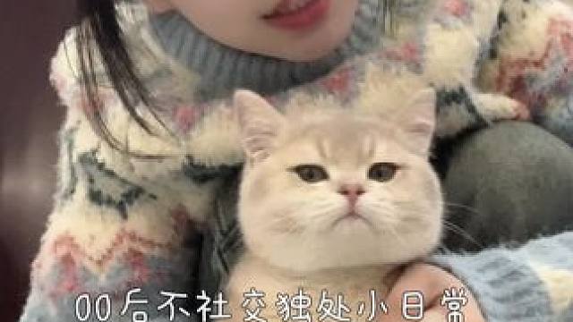 成都打工人平凡的搬砖日 下班怎么那么能吃#日常vlog #我和我的猫 #治愈系 #小咪会赶走你一天的