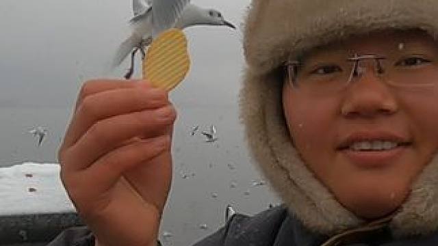 昆明最好玩的项目喂海鸥，最好吃的美食炸洋芋！#穷游 #旅行vlog #带你去看海鸥 #下饭视频 #昆