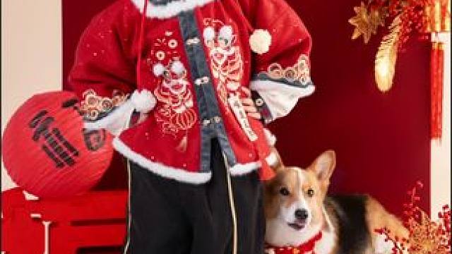 正月没过就还是年#新年写真 #萌娃和萌宠 #被萌宠治愈的那些时刻 #柯基 #郑州宠物摄影