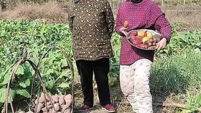 山卡卡里的农村大姐学费了开直播每天收获满满您还在恐播怕播不敢开播开播了不知说什么吗#记录真实生活 #