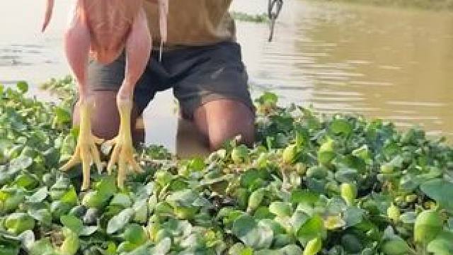 奇葩钓鱼法#钓鱼 #钓鱼的乐趣只有钓鱼人懂 #钓鱼人就是这么疯狂 #内容启发搜索