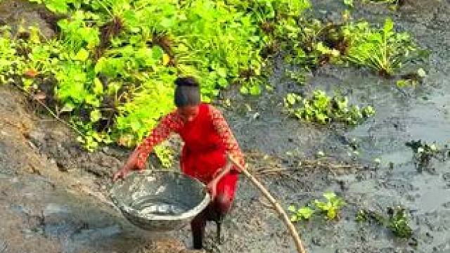 农村生活#农村生活 #逮鱼摸虾 #抓鱼 #内容启发搜索