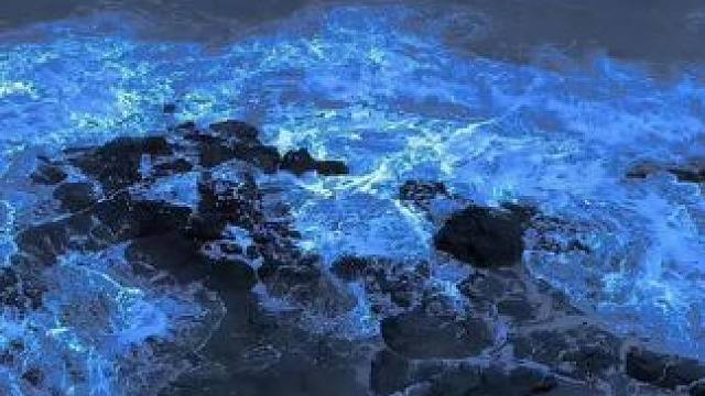 开学了给娃做一份这样的松饼早餐你们打几分呢～#我的厨房日记 #下午茶甜品 #早餐吃什么