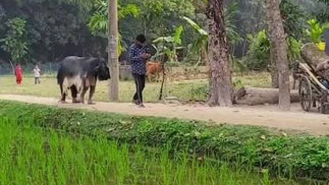 哈哈 #野生动物零距离 #辛勤劳动者记录农村生活 #田间地头就是我的舞台 #身体和灵魂总有一个在路上