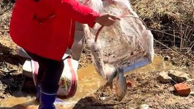 #户外捕鱼 #好多鱼