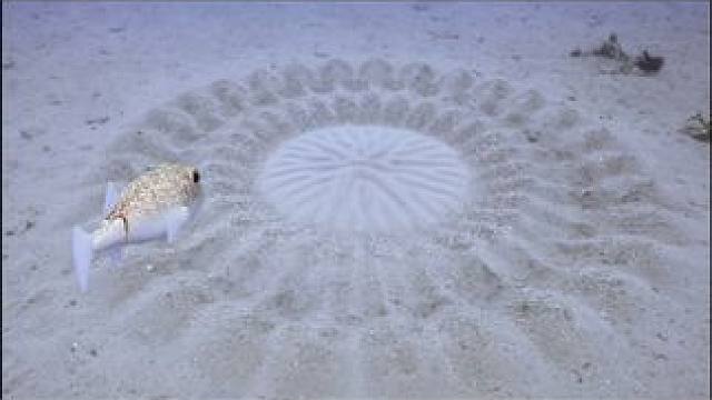 我发布了一个新视频，快来围观吧！