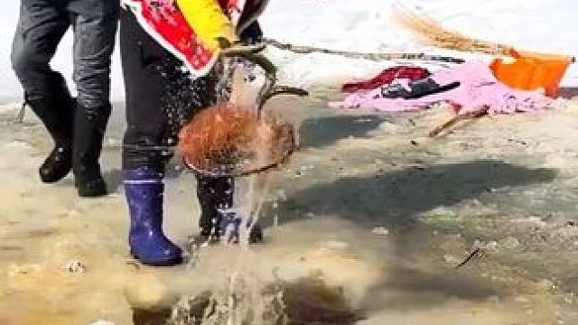 #户外捕鱼 #好多鱼