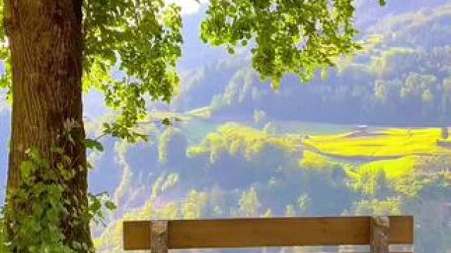 每一段路，都是风景；每一颗心，都有归处。 #治愈系