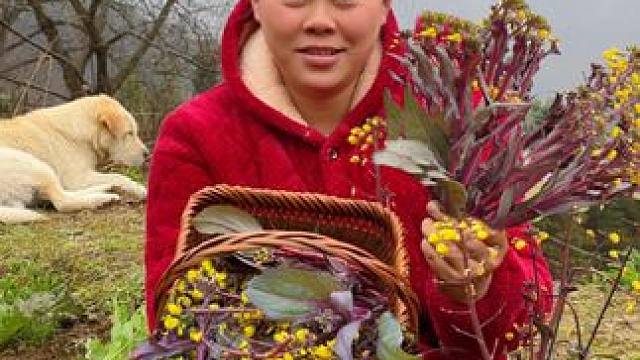 摘了很多红菜花，配着腊肉做个美味下饭菜 #美食 #农村生活 #美食分享