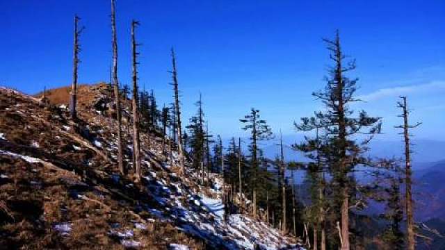 我发布了一个新视频，快来围观吧！