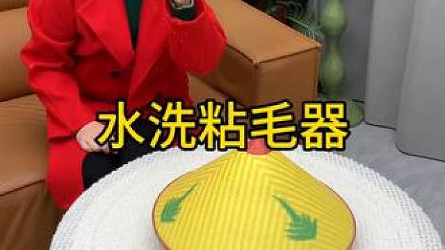 神奇的粘毛器 神奇的粘毛器!不仅能轻松清理头发和猫猫狗狗掉落的毛发，水一冲就干净能继续用了 #粘毛神