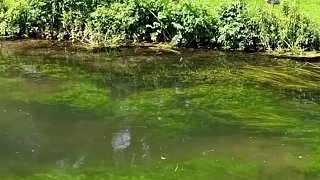 這才叫玩到了極致！釣魚就是為了給它一個教訓是嗎？