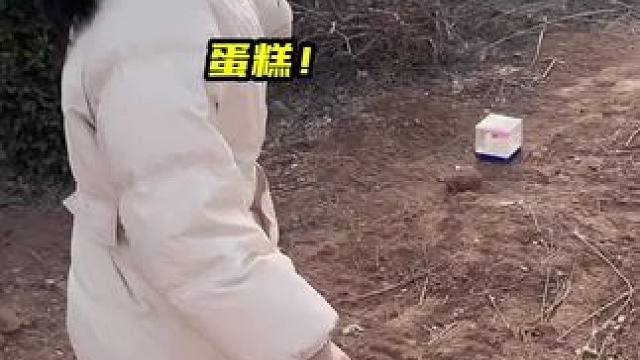 这个蛋糕有问题！