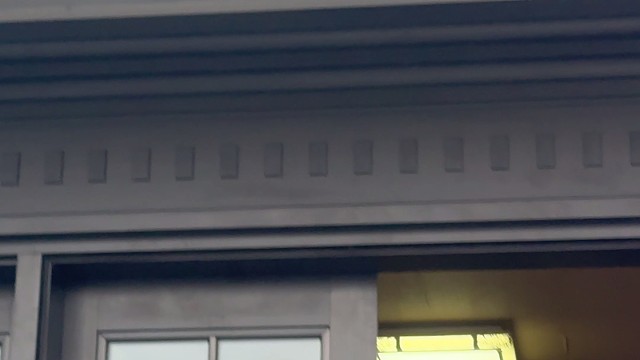 给无锡大佬安装四开别墅门是一种什么样的体验？#中宝天一铜门 #铜门 #别墅门 #偏轴门