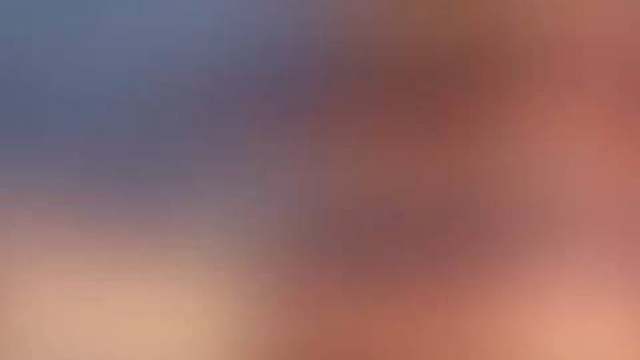 唯有牡丹真国色，花开时节动京城！​​​