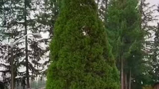 #解压视频 #极度舒适 #能工巧匠 #制作过程 #省时省力