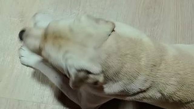 我发布了一个新视频，快来围观吧！