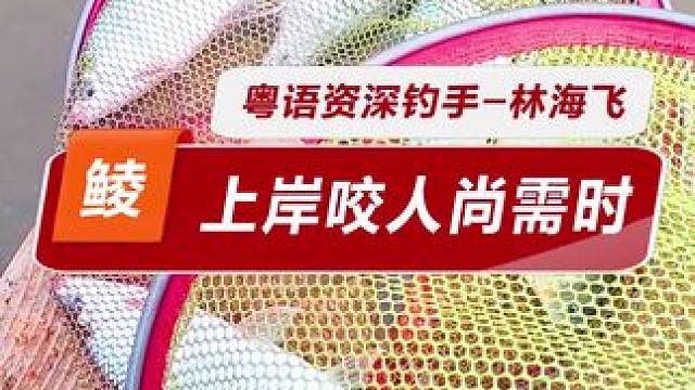 上岸咬人尚需时 土鲮的正口率上不来，就不是真正开口