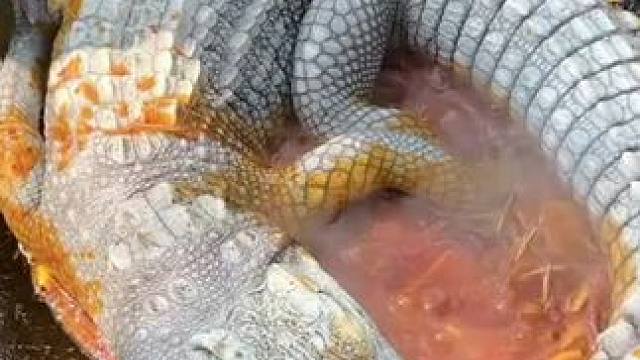 东南亚美食文化 #农村美食记录生活 #体验原生态美食的乐趣 #粗茶淡饭吃起香农村生活 #这就是农村的