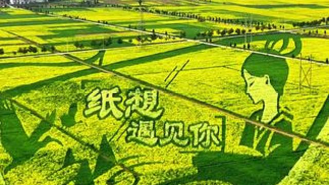 #春天一定不能错过的美景 #汉中油菜花 #春天的味道 #乡野田间 #乡野田间