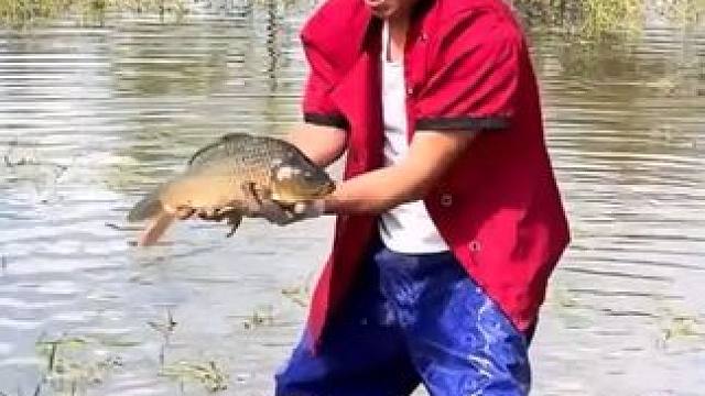 #户外捕鱼 #好大一条鱼