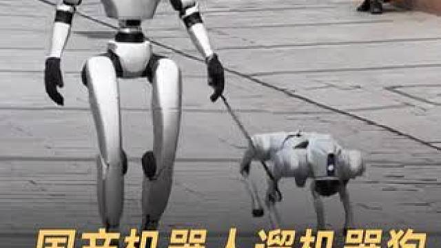 国产机器人遛机器狗，东方科技让老外傻眼 #国产机器人  #机器狗  #宇树科技  #科技强国  #科